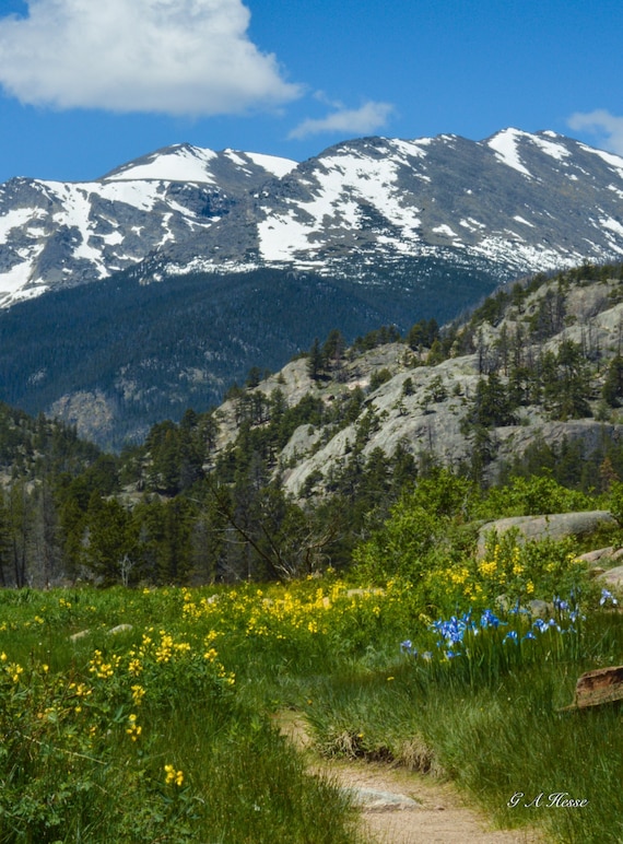 Cub Lake Trail in the Rockies