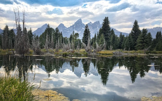 Schwabacher Landing, Grand Tetons