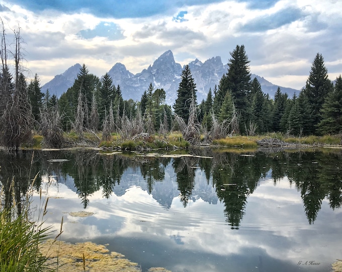 Schwabacher Landing, Grand Tetons