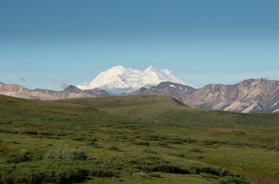 Mt Denali