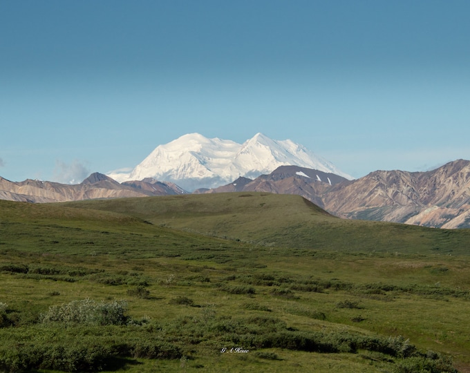 Mt Denali