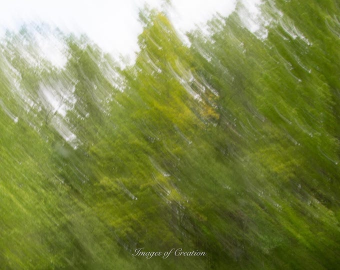 Summer Impressionistic Photography