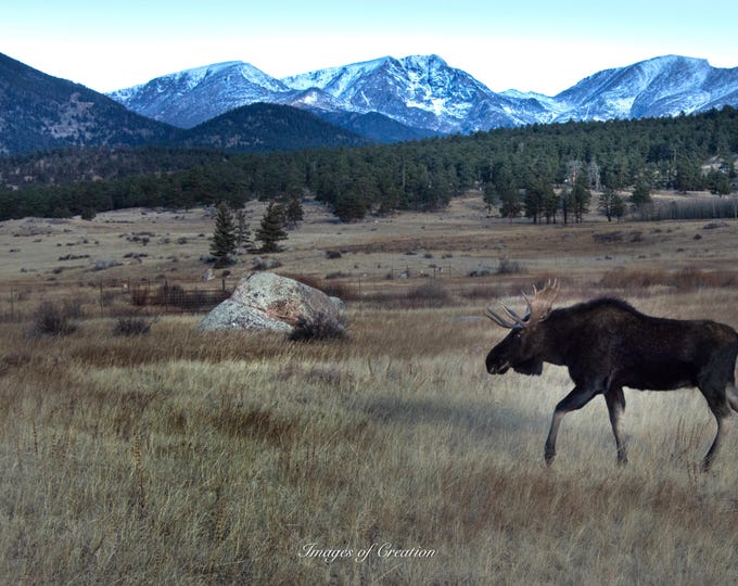 Stroll through the Rockies