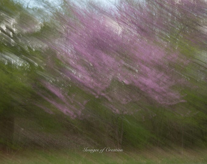 Spring Impressionistic Photography.
