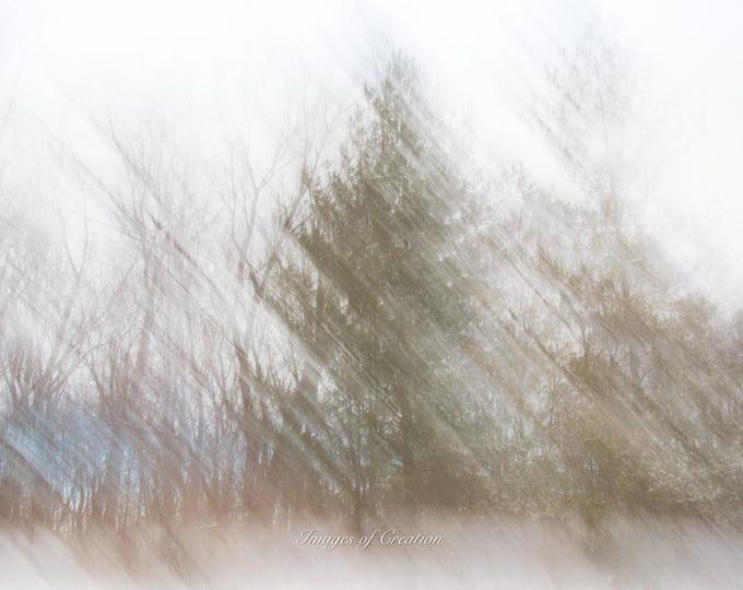Winter Impressionist Photography