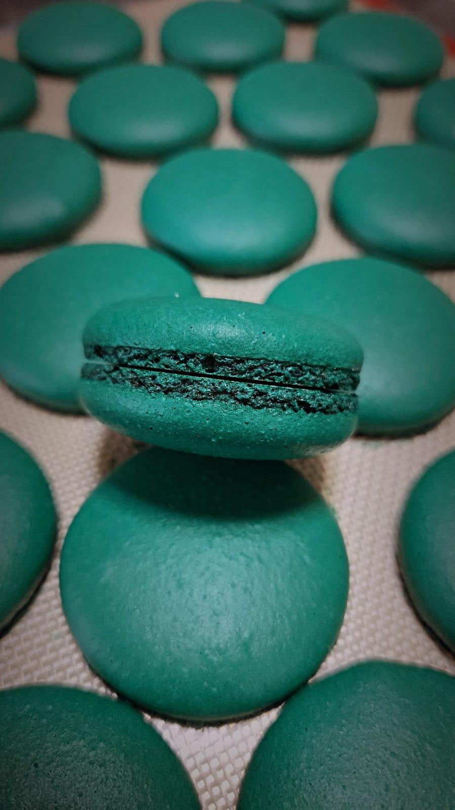 Macroon Shell 24 Pieces French Macaron Shells ( for 12 Macaron) - Etsy