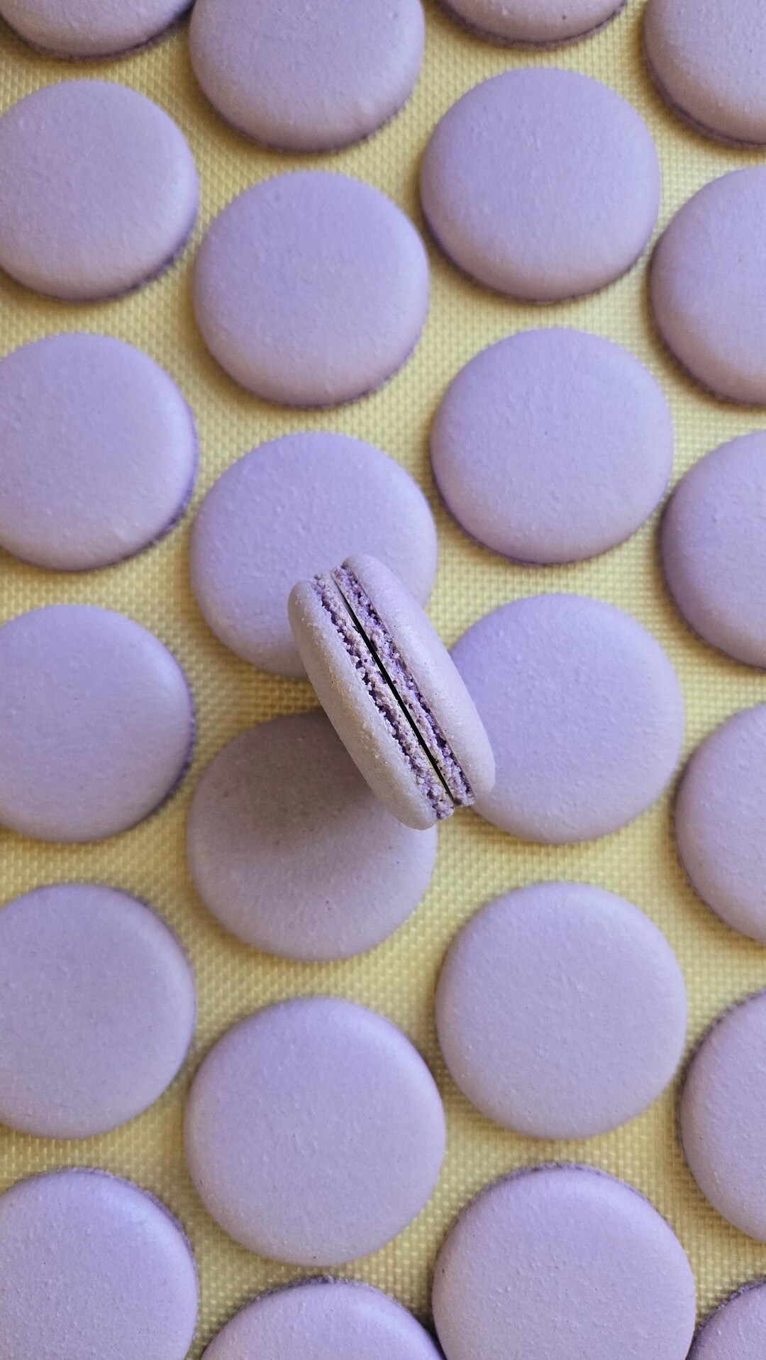 Macroon Shell 24 Pieces French Macaron Shells ( for 12 Macaron) - Etsy