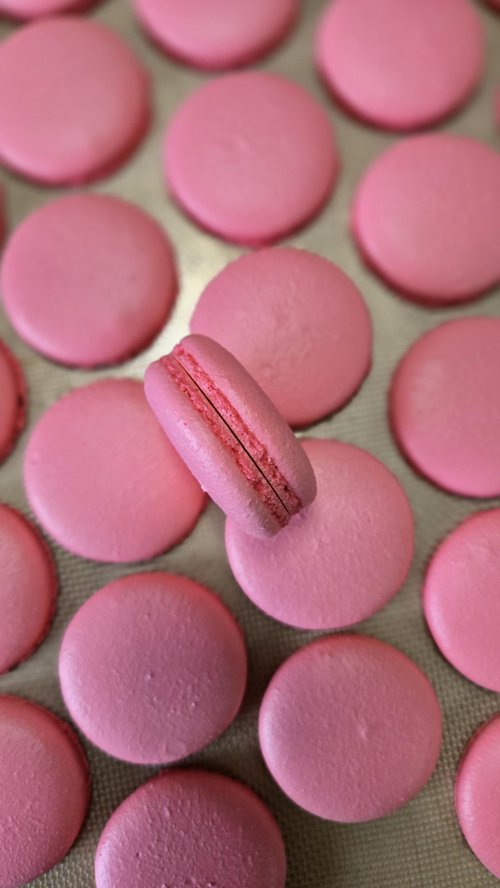 Shell Shape Macaron 24 Pieces French Macaron Shells ( for 12 Macaron) - Etsy