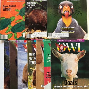 Eule Vintage Kinder The Discovery Magazine Collection 1990 - 1993