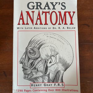 The Complete Gray&#39;s Anatomy Paperback Large Book (2003) by Henry Gray