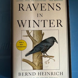 1989's Ravens in Winter by Bernd Heinrich Paperback Book