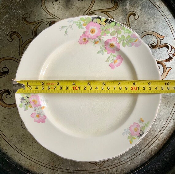 Antique Wedgwood & Co Ltd Sweet Briar Dinnerware ~ RD Trade