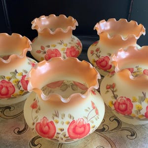 Incredible 5 Pc Glass Light Shade Set ~ Hand Painted Red and Yellow Flowers on Soft Beige and Peach Frosted Glass ~ Very Hard to Find!