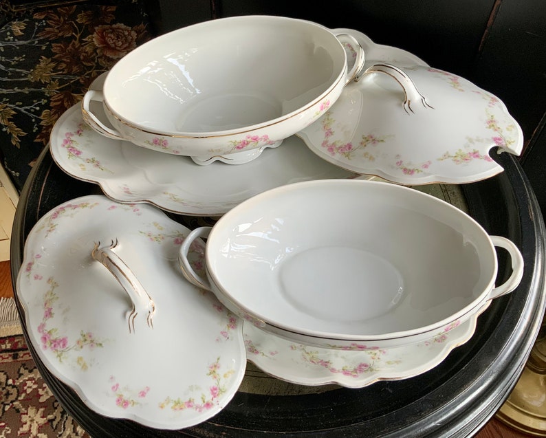 Incredible Antique 6 Piece MZ moritz Zdekauer Austria China Bridal Rose