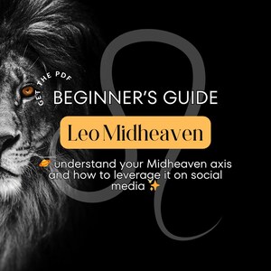 Guia de mídia social para iniciantes Leo Midheaven