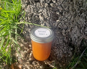 Raw Unfiltered Honey 11oz Jar