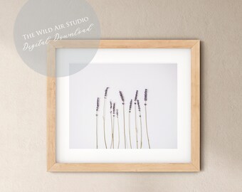 Dried Lavender Sprigs Printable Photo | Stock Photography  | Digital Download | Blog Social Media Website Branding | Instant Download