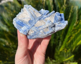 Blue Kyanite Cluster