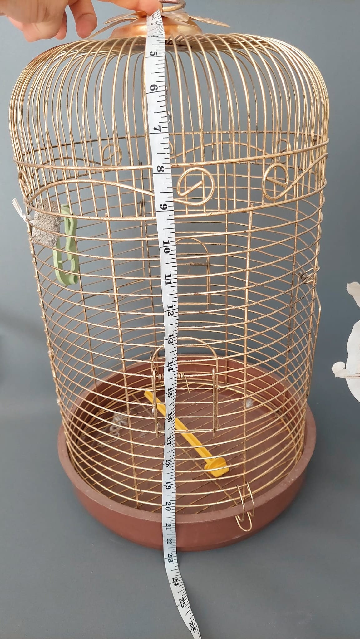 COVERS/SKIRTS 140160 Inch Bird Cage Cover Bird Cage Skirt Etsy