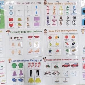 Bilingual Urdu English Learning Binder