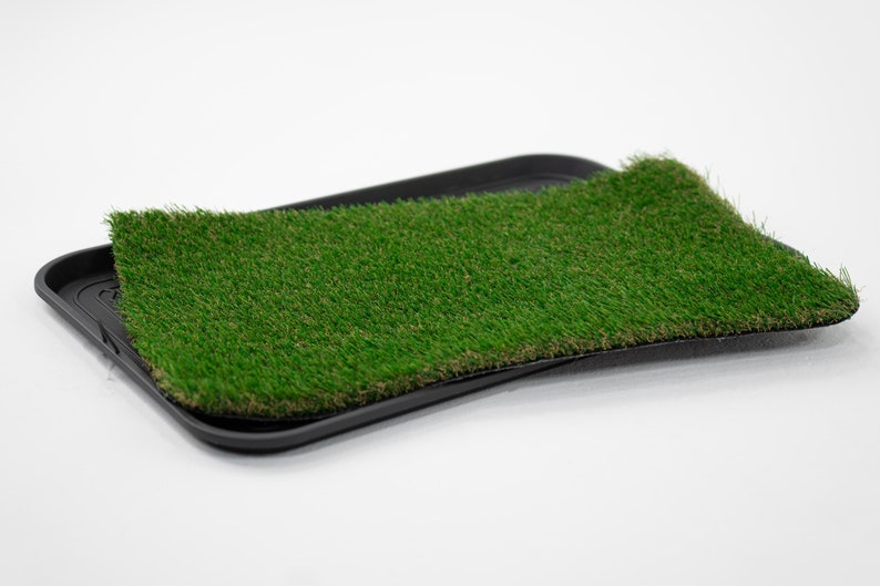 City Loo Premium Artificial Dog Potty Grass Etsy