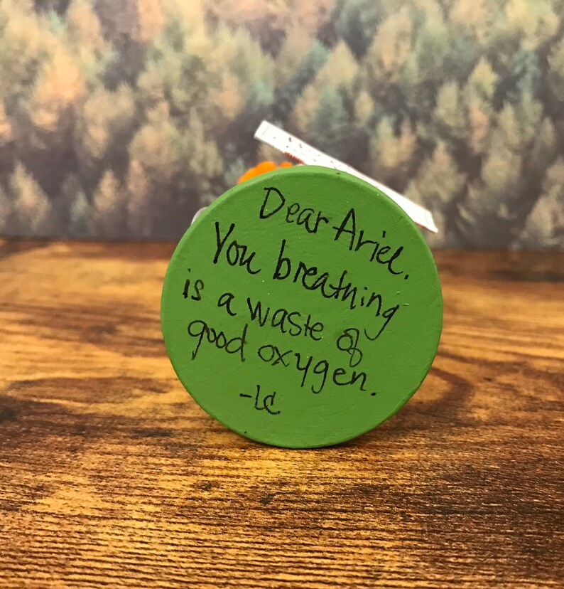 May include: A green round ornament with the text "Dear Ariel, You breathing is a waste of good oxygen. -lc" written in black marker.