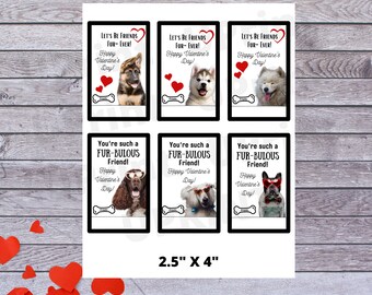 Tarjetas de San Valentín para perros, imprimibles, para el Día de San Valentín de cachorros, para el aula infantil, para tu amigo peludo (descarga en PDF)