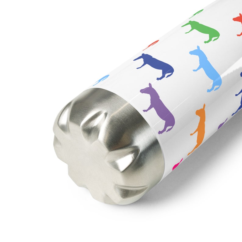 Stainless Steel Water Bottle