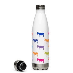 Stainless Steel Water Bottle
