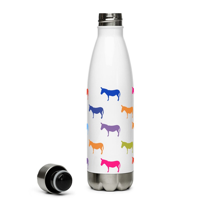 Stainless Steel Water Bottle