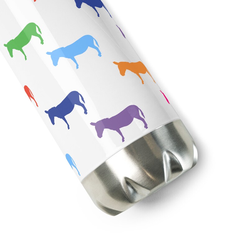 Stainless Steel Water Bottle