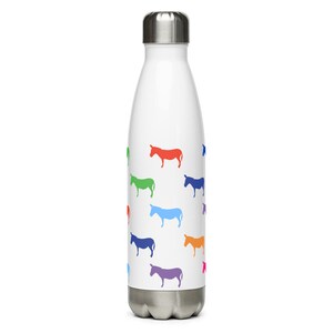 Stainless Steel Water Bottle