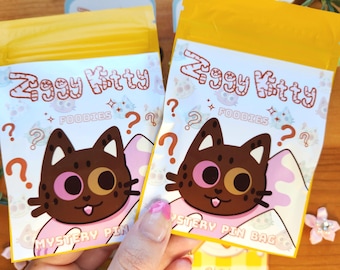 Ziggy Kitty Mystery Pin Bag