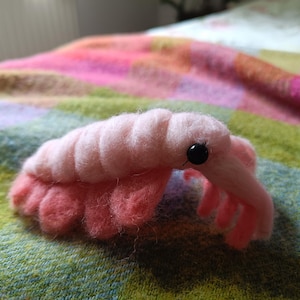 Needlefelted peytoia