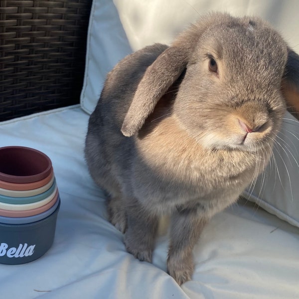 Personalised Rabbit stacking cups