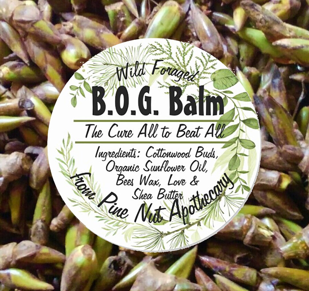 Herbal Balm Balm of Gilead Body Balm Cottonwood Balm Poplar Buds Handmade in Walla Walla WA Etsy