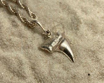 May include: A silver shark tooth pendant necklace on a silver rope chain. The pendant is a detailed replica of a shark tooth.