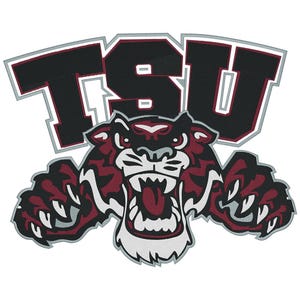 Toppa termoadesiva con logo TSU Legacy