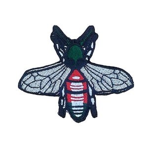 Stor metallisk skalbagge strykmärke