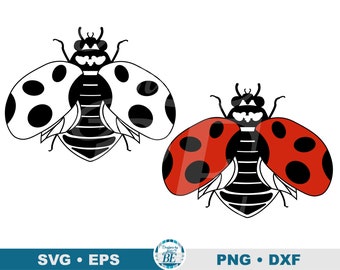 Mariquita SVG • Clipart de insectos en capas (Descarga digital)