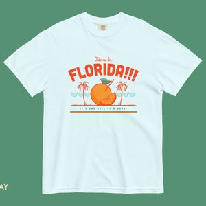 Florida Comfort Colors Tee Shirt, Colorful Aesthetic Graphic Tee, Unisex Comfort Color T-Shirt image 6