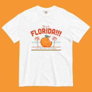 Florida Comfort Colors T-Shirt, buntes ästhetisches grafisches T-Shirt, Unisex Comfort Color T-Shirt Bild 5