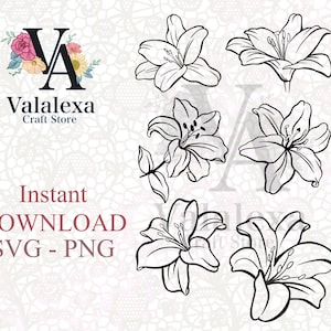 Lily Svg Bundle, lily svg, Lily Png Bundle, Lily File, Lily png, Lily Files for Cricu, Lily Layered File, Lily cut File, Lily Flowers File