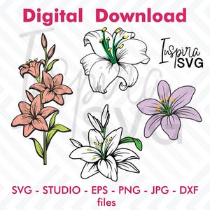 LILY BLUME SVG, Lilie svg, geschichtete Lilienblumen, Lilie svg Bundle, Lilienblume svg, Lily Cut File svg, Blumenschnittdatei, Flower Studio