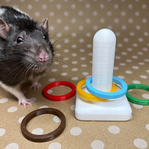 Rat Training Toy (Ring toy, Ring Training)