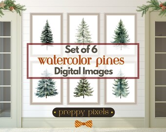 May include: Set of six watercolor pine tree illustrations in digital format. The images are displayed in a mock-up of a white wall with a wood-look finish. The text "Set of 6 watercolor pines Digital Images" is displayed in a red rectangle.
