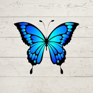 Papillon SVG, SVG papillon bleu, papillon en téléchargement numérique, fichier de coupe Cricut papillon