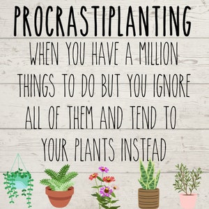 Proktratiplanting SVG, lustige Garten Svg, Garten Svg, Gärtner Mama Schnittdatei, Süße Gartenkunst Cricut Datei, Pflanzen Mom Pdf, Lustige Pflanze Zitat Cricut Svg