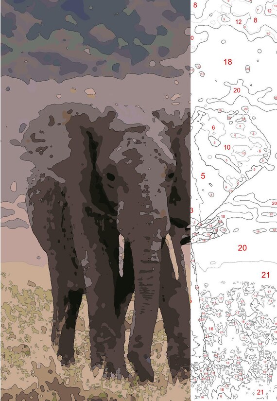 Color by Number / Paint by Number Elephant Etsy