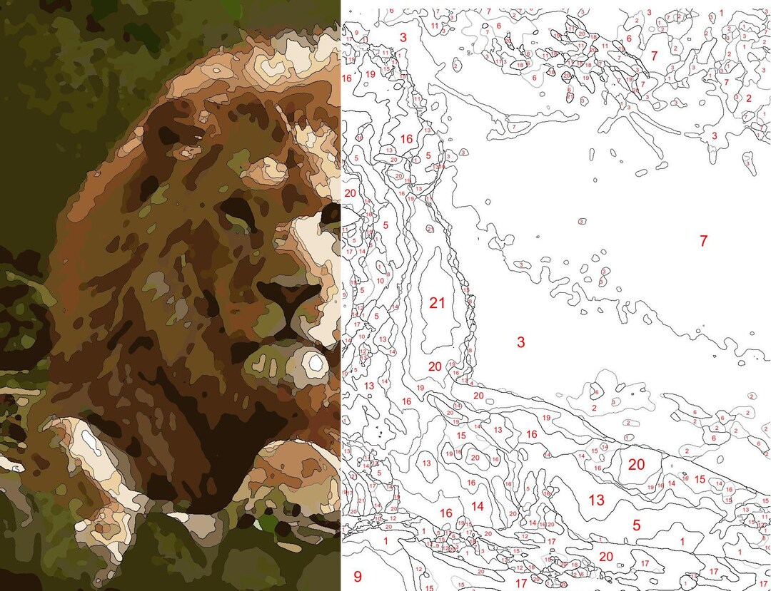 Color by Number / Paint by Number Lion - Etsy